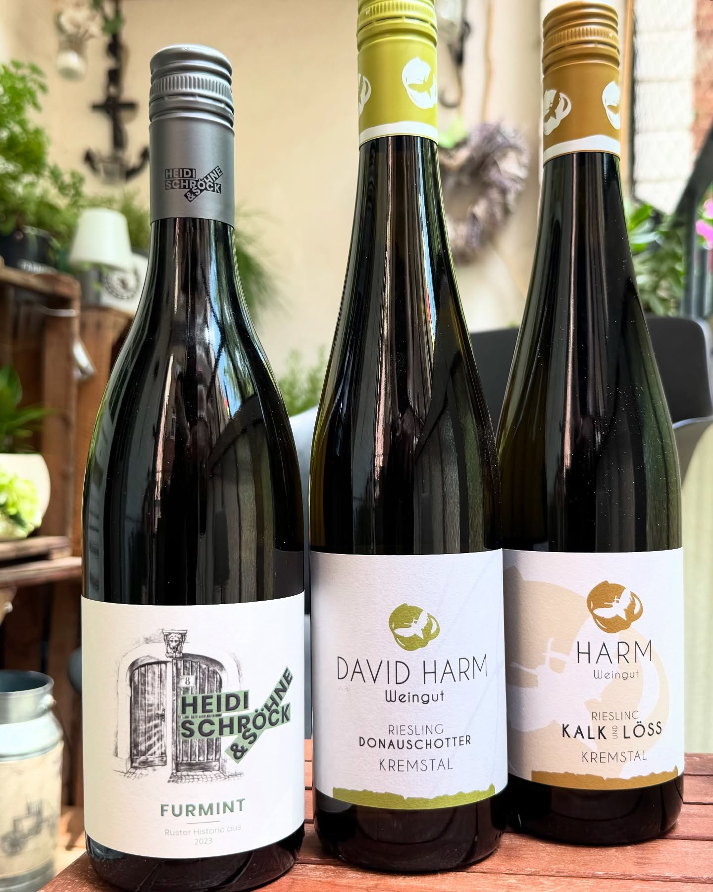 Heute sind wir bei Freunden eingeladen um gemeinsam zu kochen und guten Wein zu trinken. Im @engrosendetail haben wir heute entsprechend paar gute Tropfen ausgesucht. Danke für die gute Beratung an dieser Stelle.  Bin gespannt was Silvia und Markus zum Furmint von Heidi Schröck sagen werden. Vom Riesling vom Weingut Harm haben wir sogar noch eine Flasche Flasche vom 21er Jahrgang den wir mit dem 2023er vergleichen können.  Auf einen schönen Abend 🥂  #wein #weinliebe #inweinwetrust #engrosendetail_leipzig #engrosendetail #heidischröck #heidischröckundsoehne #weingutharm